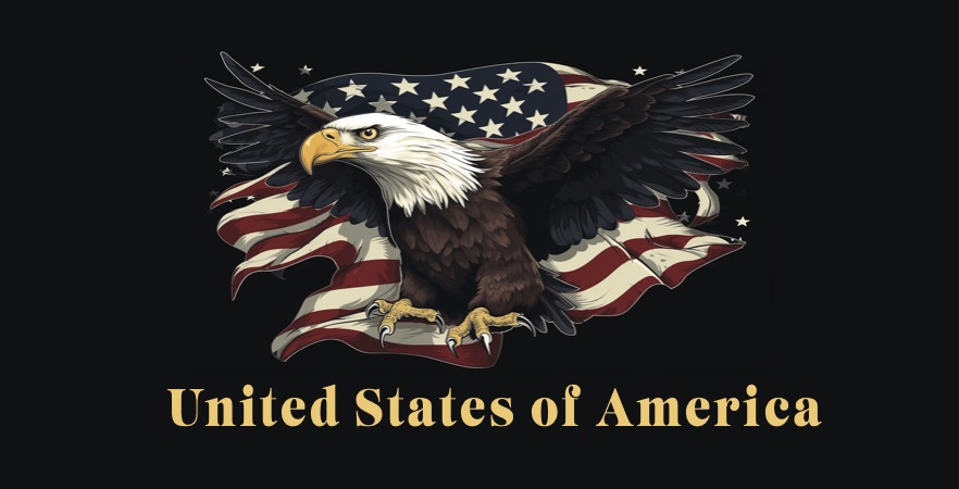 USA Patriotic Graphic