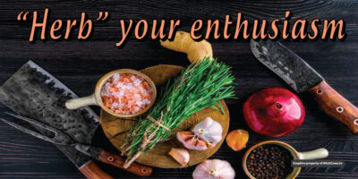 Herb your Enthusiasm