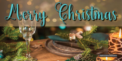 Merry Christmas - Teal