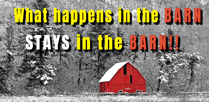 What Happens in the Barn, Stays in the Barn