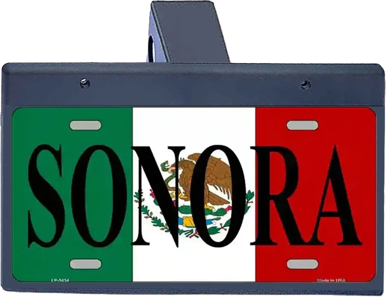 Mexico Flag Sonora